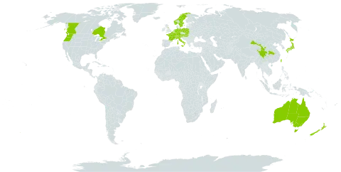 Cotoneaster horizontalis world distribution map, present in Australia, Austria, Belgium, Canada, Switzerland, China, Germany, France, United Kingdom of Great Britain and Northern Ireland, Hungary, Italy, Japan, Liechtenstein, Luxembourg, Netherlands, Norway, New Zealand, Poland, Slovakia, Slovenia, Sweden, Taiwan, Province of China, and United States of America