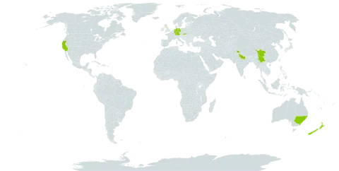 Cotoneaster microphyllus world distribution map, present in Australia, China, Germany, United Kingdom of Great Britain and Northern Ireland, India, Nepal, New Zealand, Slovakia, and United States of America