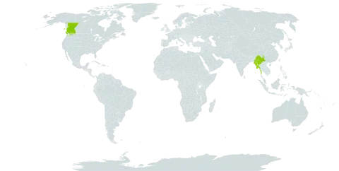 Cotoneaster sternianus world distribution map, present in Canada, China, and Myanmar