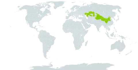 Cotoneaster submultiflorus world distribution map, present in China and Kazakhstan