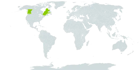 Cotoneaster x suecicus world distribution map, present in Canada