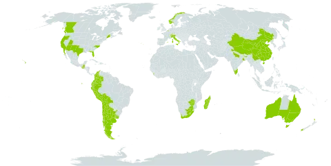 Cotula australis world distribution map, present in Argentina, Australia, Belgium, Bolivia (Plurinational State of), Canada, Switzerland, Chile, China, Colombia, Ecuador, Spain, France, United Kingdom of Great Britain and Northern Ireland, Guatemala, India, Italy, Sri Lanka, Lesotho, Madagascar, Mexico, Norway, New Zealand, Peru, Portugal, Saint Helena, Ascension and Tristan da Cunha, Uruguay, United States of America, South Africa, and Zimbabwe