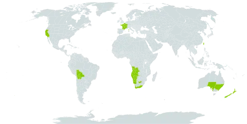 Cotyledon orbiculata world distribution map, present in Angola, Australia, Bolivia (Plurinational State of), Spain, France, Namibia, New Zealand, Taiwan, Province of China, United States of America, and South Africa