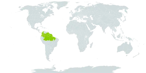 Couepia guianensis subsp. glandulosa world distribution map, present in Brazil, Colombia, French Guiana, Guyana, Suriname, and Venezuela (Bolivarian Republic of)