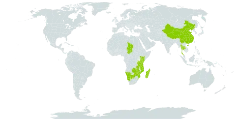 Courtoisina cyperoides world distribution map, present in Botswana, China, Kenya, Madagascar, Mozambique, Namibia, eSwatini, Chad, Thailand, Tanzania, United Republic of, Zambia, and Zimbabwe