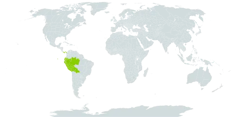 Coussapoa ovalifolia world distribution map, present in Bolivia (Plurinational State of), Brazil, Colombia, Ecuador, Panama, and Peru