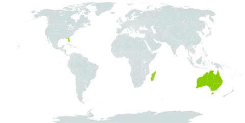 Crassocephalum world distribution map, present in Australia, Madagascar, and United States of America