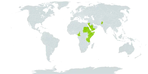 Crassula alata subsp. pharnaceoides world distribution map, present in Cameroon, Eritrea, Ethiopia, India, Kenya, Pakistan, Saudi Arabia, Sudan, Somalia, Tanzania, United Republic of, Uganda, and Yemen