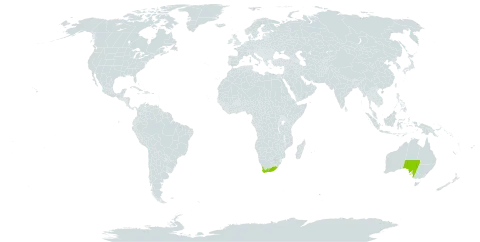 Crassula ciliata world distribution map, present in Australia and South Africa