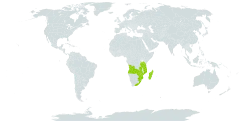 Crassula expansa subsp. fragilis world distribution map, present in Angola, Madagascar, Mozambique, Malawi, eSwatini, Tanzania, United Republic of, South Africa, Zambia, and Zimbabwe