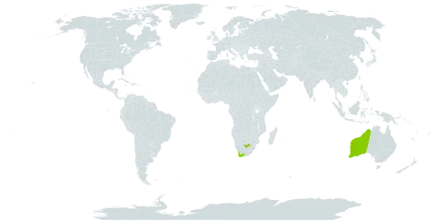 Crassula glomerata world distribution map, present in Australia and South Africa