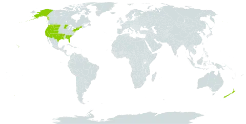 Crassula world distribution map, present in New Zealand and United States of America