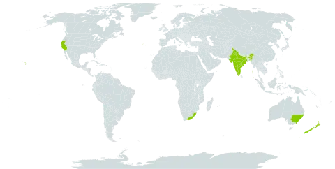 Crassula multicava world distribution map, present in Australia, Spain, India, New Zealand, Portugal, United States of America, and South Africa