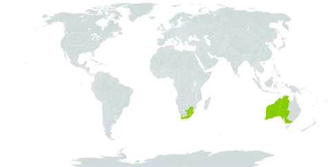 Crassula natans world distribution map, present in Australia, Lesotho, and South Africa