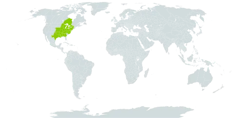 Crataegus calpodendron world distribution map, present in Canada and United States of America