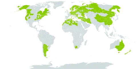 Crataegus monogyna world distribution map, present in Albania, Andorra, Argentina, Australia, Austria, Belgium, Bulgaria, Bosnia and Herzegovina, Belarus, Canada, Switzerland, China, Cyprus, Czech Republic, Germany, Denmark, Algeria, Spain, Estonia, Finland, France, United Kingdom of Great Britain and Northern Ireland, Georgia, Gibraltar, Greece, Croatia, Hungary, Iran (Islamic Republic of), Iraq, Iceland, Israel, Italy, Lebanon, Libya, Liechtenstein, Lithuania, Luxembourg, Latvia, Morocco, Moldova (Republic of), North Macedonia, Malta, Montenegro, Netherlands, Norway, New Zealand, Poland, Portugal, Romania, Russian Federation, Serbia, Slovakia, Slovenia, Sweden, Syrian Arab Republic, Tunisia, Turkey, Ukraine, United States of America, and South Africa