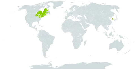 Crataegus scabrida world distribution map, present in Canada, Korea (Republic of), and United States of America