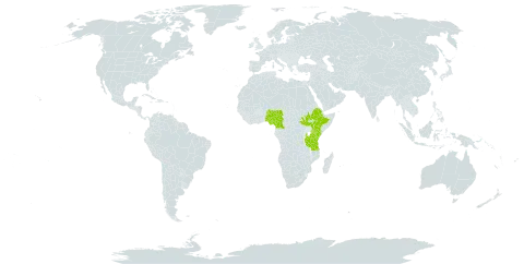 Craterostigma abyssinicum world distribution map, present in Cameroon, Ethiopia, Kenya, Nigeria, South Sudan, Tanzania, United Republic of, and Uganda