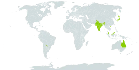 Crateva world distribution map, present in Argentina, Australia, China, India, Japan, Malaysia, and United States of America