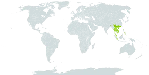 Cratoxylum cochinchinense world distribution map, present in Brunei Darussalam, China, Hong Kong, Indonesia, India, Cambodia, Lao People's Democratic Republic, Myanmar, Malaysia, Philippines, Singapore, Thailand, and Viet Nam