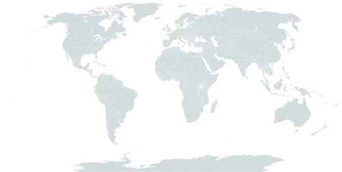 Crepidium resupinatum world distribution map, present in Cook Islands, Fiji, Solomon Islands, Tonga, Vanuatu, Wallis and Futuna, and Samoa