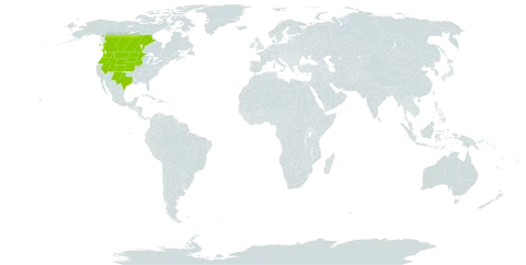 Crepis runcinata subsp. runcinata world distribution map, present in Canada and United States of America