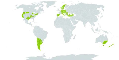 Crepis setosa world distribution map, present in Albania, Andorra, Argentina, Australia, Austria, Azerbaijan, Belgium, Bulgaria, Bosnia and Herzegovina, Switzerland, Chile, Czech Republic, Germany, Denmark, Spain, France, United Kingdom of Great Britain and Northern Ireland, Georgia, Greece, Croatia, Hungary, Italy, Luxembourg, Moldova (Republic of), North Macedonia, Montenegro, Netherlands, Norway, New Zealand, Poland, Romania, Serbia, Slovakia, Slovenia, Sweden, Turkey, Ukraine, Uruguay, and United States of America