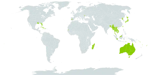 Crinum asiaticum world distribution map, present in Andorra, Australia, Bangladesh, Bahamas, Brunei Darussalam, Cook Islands, Cuba, Dominica, Algeria, Spain, Fiji, Guam, Haiti, Indonesia, India, British Indian Ocean Territory, Jamaica, Japan, Cambodia, Lao People's Democratic Republic, Moldova (Republic of), Madagascar, Maldives, Marshall Islands, Myanmar, Mauritius, Malaysia, Norfolk Island, Nauru, Pitcairn, Philippines, Papua New Guinea, Puerto Rico, Korea (Democratic People's Republic of), Réunion, Singapore, Solomon Islands, Seychelles, Thailand, Tokelau, Timor-Leste, Tonga, Tuvalu, Taiwan, Province of China, United States of America, Viet Nam, Vanuatu, and Samoa