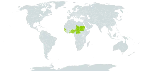 Crinum biflorum world distribution map, present in Benin, Central African Republic, Ghana, Guinea, Guinea-Bissau, Nigeria, Sudan, Senegal, Sierra Leone, and Chad