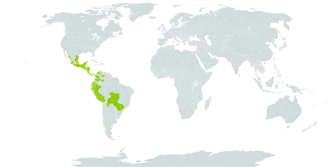 Critonia morifolia world distribution map, present in Belize, Bolivia (Plurinational State of), Brazil, Colombia, Costa Rica, Ecuador, Guatemala, Honduras, Mexico, Nicaragua, Panama, Peru, El Salvador, and Venezuela (Bolivarian Republic of)