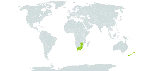 Crocosmia paniculata world distribution map, present in Lesotho, New Zealand, eSwatini, South Africa, and Zimbabwe