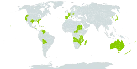 Crocosmia world distribution map, present in Angola, Åland Islands, Australia, Austria, Burkina Faso, Bolivia (Plurinational State of), Central African Republic, Czech Republic, Dominica, Spain, Fiji, France, Honduras, Haiti, Ireland, Jamaica, Japan, Lesotho, Madagascar, Mozambique, Norfolk Island, New Zealand, Puerto Rico, Korea (Democratic People's Republic of), Portugal, Rwanda, Sudan, eSwatini, Tanzania, United Republic of, United States of America, Venezuela (Bolivarian Republic of), Zambia, and Zimbabwe