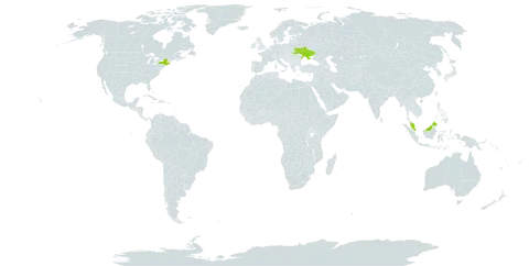 Crocus angustifolius world distribution map, present in Malaysia, Ukraine, and United States of America