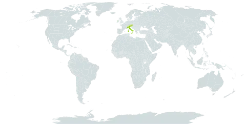 Crocus neapolitanus world distribution map, present in Austria, Ireland, and Italy