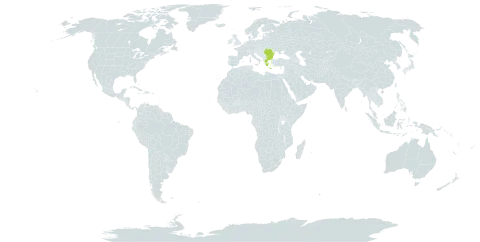 Crocus pallasii world distribution map, present in Bulgaria, Greece, Palau, Romania, and Turks and Caicos Islands