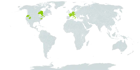 Crocus vernus world distribution map, present in Austria, Canada, Switzerland, Germany, France, Italy, and United States of America