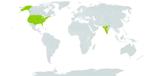 Crotalaria angulata world distribution map, present in India, Kenya, Sri Lanka, and United States of America