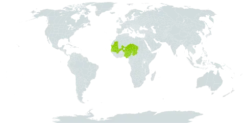 Crotalaria arenaria world distribution map, present in Mali, Mauritania, Niger, Nigeria, Senegal, and Chad