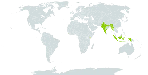 Crotalaria hirsuta world distribution map, present in Indonesia, India, Kenya, Sri Lanka, Myanmar, and Mauritius