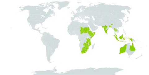 Crotalaria laburnifolia world distribution map, present in Angola, Australia, Burundi, Bangladesh, Botswana, Djibouti, Ethiopia, Indonesia, India, Kenya, Sri Lanka, Mozambique, Mauritius, Malawi, Malaysia, Rwanda, Sudan, Somalia, Seychelles, Chad, Thailand, Tanzania, United Republic of, Uganda, South Africa, Zambia, and Zimbabwe