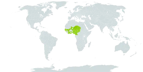 Crotalaria macrocalyx world distribution map, present in Burkina Faso, Côte d'Ivoire, Cameroon, Ghana, Guinea, Gambia, Guinea-Bissau, Mali, Niger, Nigeria, Senegal, Chad, and Togo