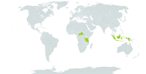 Crotalaria mesopontica world distribution map, present in Angola, Burundi, Central African Republic, Indonesia, Rwanda, Tanzania, United Republic of, and Uganda