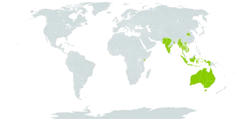 Crotalaria nana world distribution map, present in Australia, China, Indonesia, India, Jamaica, Kenya, Cambodia, Sri Lanka, Myanmar, Nepal, Thailand, and Viet Nam