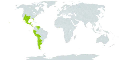 Crotalaria pumila world distribution map, present in Argentina, American Samoa, Bonaire, Sint Eustatius and Saba, Belize, Bolivia (Plurinational State of), Costa Rica, Ecuador, Ghana, Guatemala, Mexico, Nicaragua, Peru, Singapore, United States of America, and Venezuela (Bolivarian Republic of)