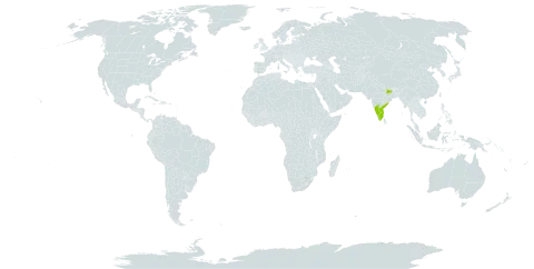 Crotalaria topouensis world distribution map, present in India