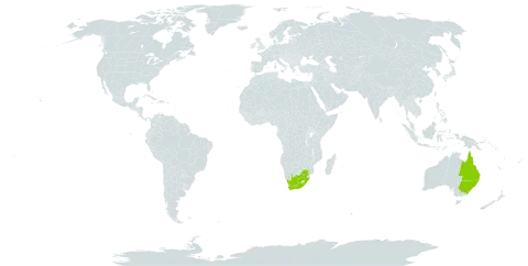 Crudia world distribution map, present in American Samoa, Australia, United States of America, and South Africa