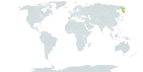 Cryptocoleopsis imbricata world distribution map, present in Russian Federation