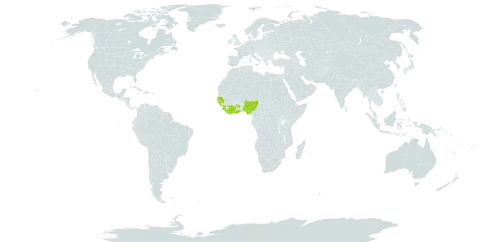 Cryptolepis eburnea world distribution map, present in Côte d'Ivoire, Ghana, Guinea, Guinea-Bissau, Liberia, Nigeria, Senegal, and Sierra Leone