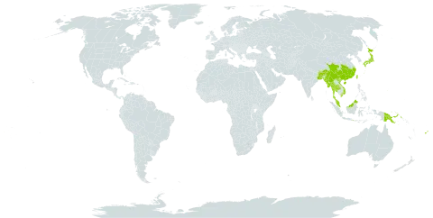 Ctenitis subglandulosa world distribution map, present in Bangladesh, Bhutan, China, Fiji, Guam, Indonesia, India, Japan, Myanmar, Northern Mariana Islands, Malaysia, Philippines, Papua New Guinea, Thailand, Taiwan, Province of China, and Viet Nam