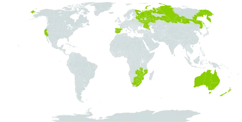 Cucumis myriocarpus world distribution map, present in Australia, Botswana, Spain, Lesotho, Mozambique, New Zealand, Portugal, Russian Federation, eSwatini, United States of America, South Africa, Zambia, and Zimbabwe